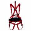 Arnés de Seguridad A50B