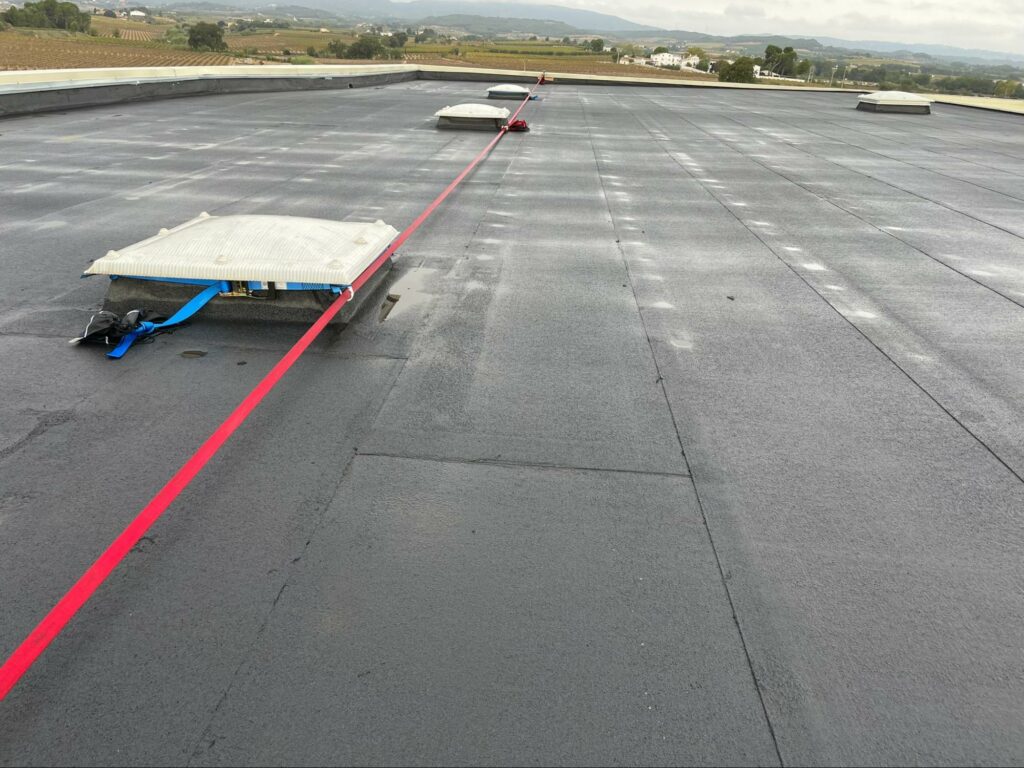 lineas de vida que son