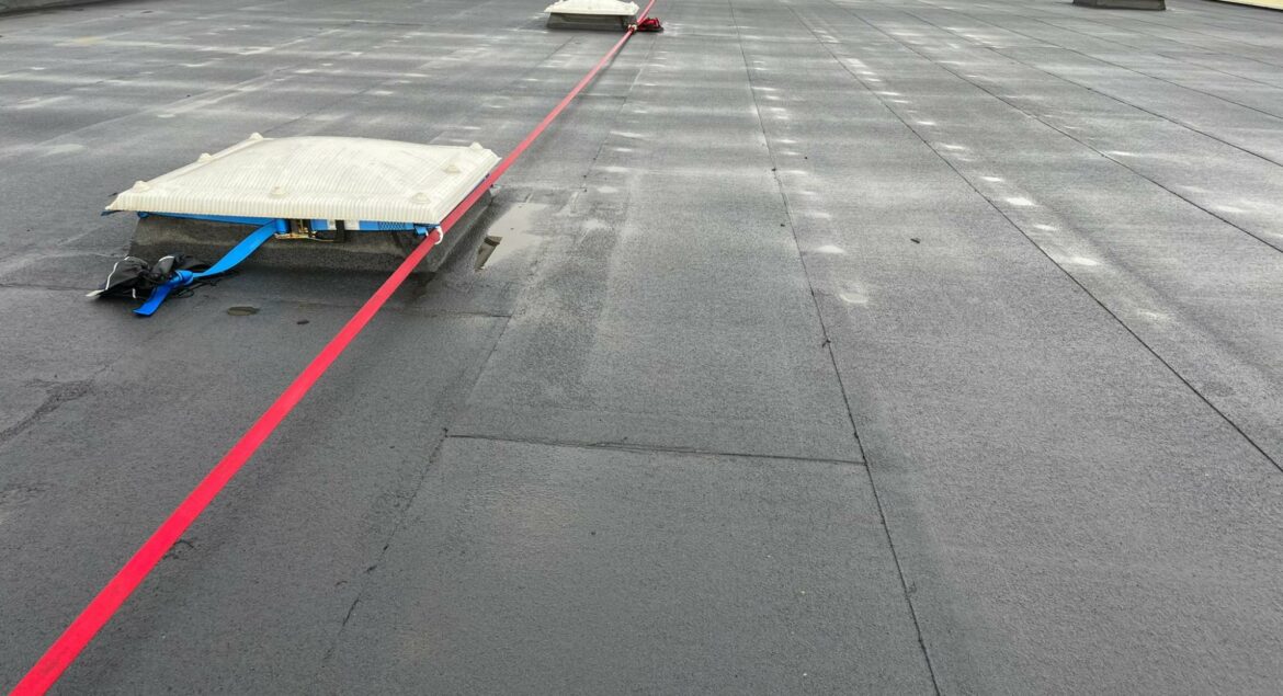 lineas de vida que son