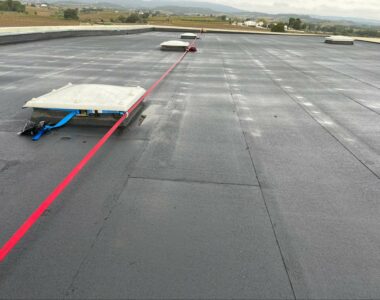 lineas de vida que son